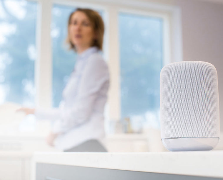 Google Home